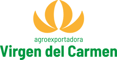 Virgen del Carmen